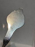 New Mexico Desert  New Mexico Souvenir Spoon