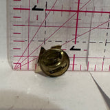 Flame Design Logo  Lapel Pin