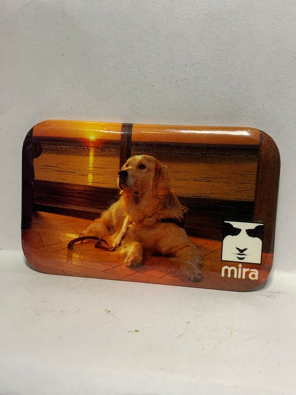 Mira Golden Retriever Dog Logo  Button Pinback