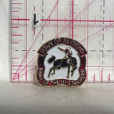 Town of Raymond Home of the 1st Stampede  Lapel Pin