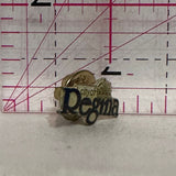 City of Regina Saskatchewan Logo  Lapel Pin