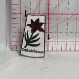 Saskatchewan Prairie Lily  Lapel Pin