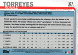 #537 Ronald Torreyes Minnesota Twins 2019 Topps Series 2 Baseball Card