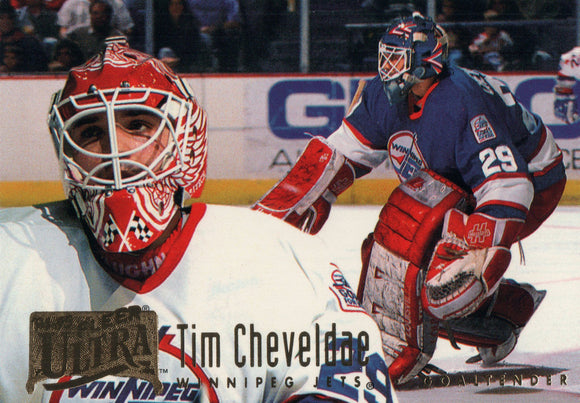 #240 Tim Cheveldae Winnipeg Jets 1993-94 Fleer Ultra Hockey Card OM
