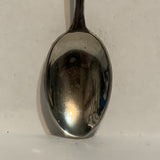 North Dakota Bison Buffalo Collectable Souvenir Spoon CY