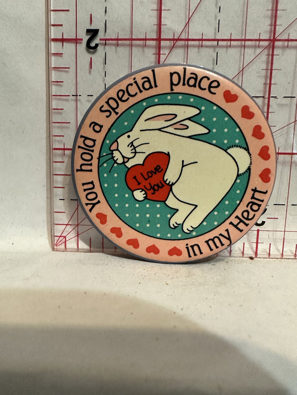 You hold a Special Place in my Heart Bunny Rabbit Button Pinback