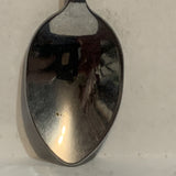 North Dakota Bison Buffalo Collectable Souvenir Spoon CZ