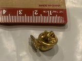 Golden Apple Lapel Hat Pin CI