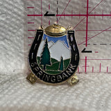 Springbank Alberta Curling Horseshoe  Lapel Pin