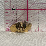 CAILC ACCVA Logo  Lapel Pin