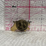 LTCHS Gradutation School  Lapel Pin