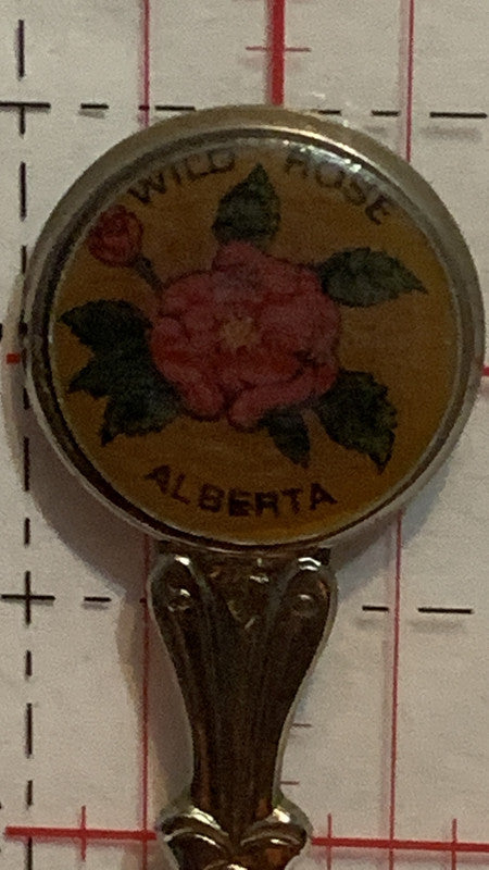 Wild Rose Alberta   Souvenir Spoon