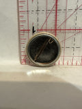 CFUV worm apple Button Pinback