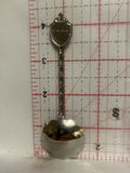 Denver Colorado Mountain Souvenir Spoon