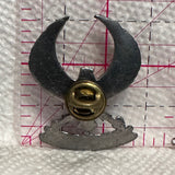 Arizona Eagle Crest Symbol  Lapel Pin