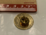 A New Dawning A.S.T.A. Graduation Lapel Hat Pin CM