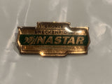 Bronze Brekenridge Nastar Ski Lapel Hat Pin CN