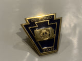 100% Attendance Lions Club 1985 86 Lapel Hat Pin CP