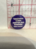 Imagination is more important than knowledge Albert Einstein Button Pinback
