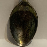 Sealand Victoria BC Orca Killer Whale Canada collectable Souvenir Spoon PA