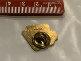 Alberta Federation of REA's Lapel Hat Pin CQ