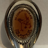Prince Charles Princess Diana First Child collectable Souvenir Spoon PB