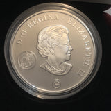 2007 $20 Sterling Silver Coin 7492/1500