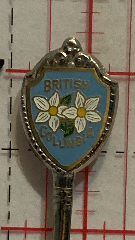 British Columbia Dogwood   Souvenir Spoon