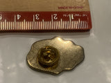 Picture of an Angel Lapel Hat Pin CT