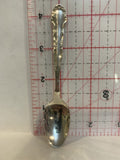 C J P Schook Souvenir Spoon