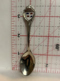 Republica Dominicana Flag Souvenir Spoon