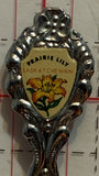 Chitek Lake Saskatchewan Prairie Lily   Chrome Souvenir Spoon