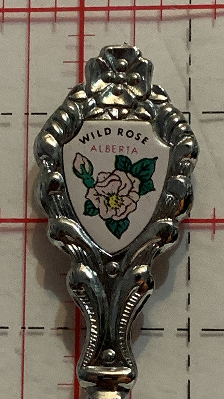 High Level Alberta Wild Rose   Chrome Souvenir Spoon