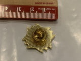 Veterans of Foreign Wars of The United States Crest Lapel Hat Pin CW