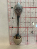 South Carolina Palmetto State Souvenir Spoon