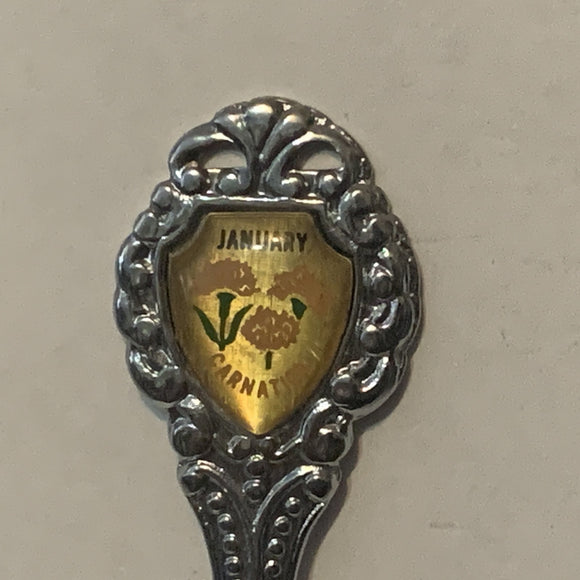 January Carnation Flower collectable Souvenir Spoon PJ