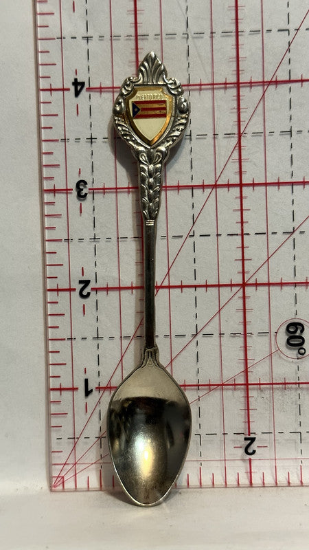 Puerto Rico Flag Souvenir Spoon
