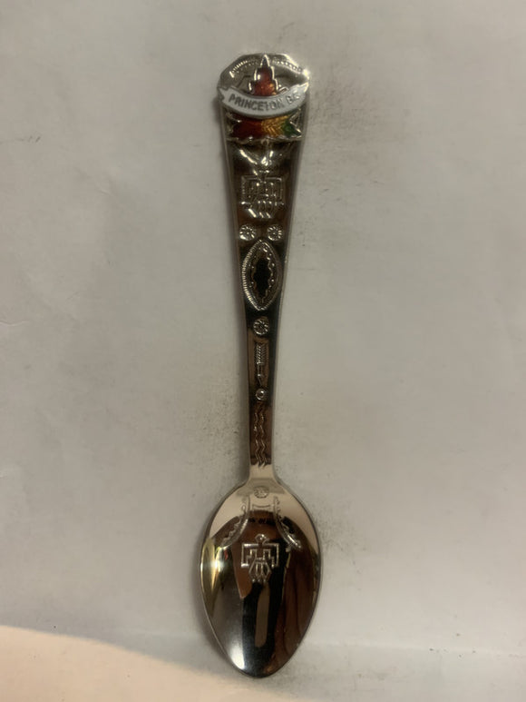 Princeton BC Native Symbols Souvenir Spoon