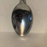 Clear Lake Manitoba Interpretive Centre Bear collectable Souvenir Spoon PJ