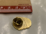 Indoor Pro Rodeo 1992 Hanna Lapel Hat Pin DC