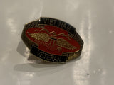 Vietnam Veteran Lapel Hat Pin DC