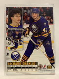 #28 Richard Smehlik Buffalo Sabres 1994-95 Fleer Ultra Hockey Card