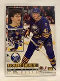 #28 Richard Smehlik Buffalo Sabres 1994-95 Fleer Ultra Hockey Card