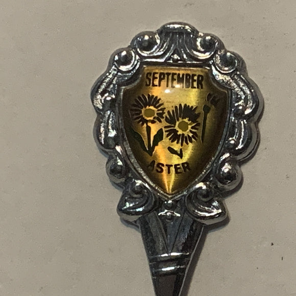 September Aster Flower collectable Souvenir Spoon PL