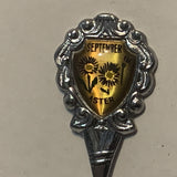 September Aster Flower collectable Souvenir Spoon PL