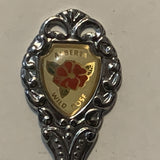 Hay Lakes 50 Years Alberta Wild Rose collectable Souvenir Spoon PM