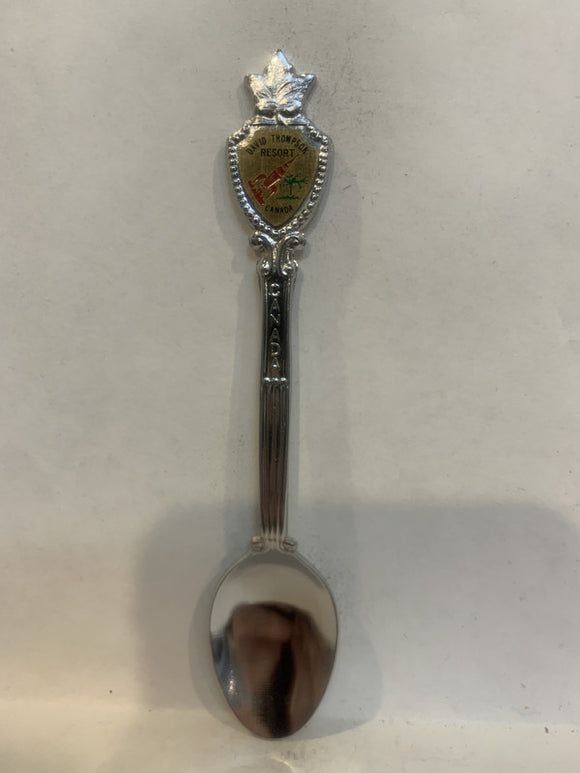 David Thompson Resort Alberta Canada Souvenir Spoon