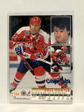 #234 Dale Hunter Washington Capitals 1994-95 Fleer Ultra Hockey Card
