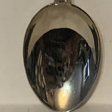 Italia Italy Country Flag collectable Souvenir Spoon PN