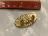 Bow Valley College Health Aide Lapel Hat Pin DF